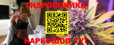 кокс Малгобек