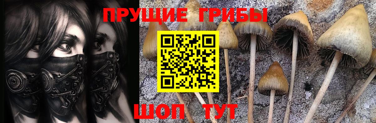 Галлюциногенные грибы Magic Shrooms  Галлюциногенные грибы Psilocybine cubensis  Верхняя Пышма  Вход с VPN 
