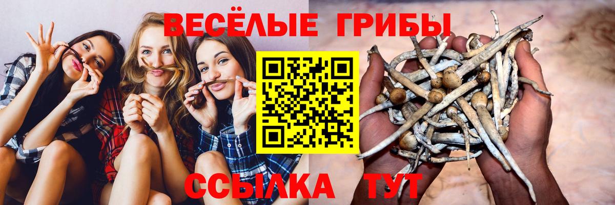 Галлюциногенные грибы MAGIC MUSHROOMS Верхняя Пышма